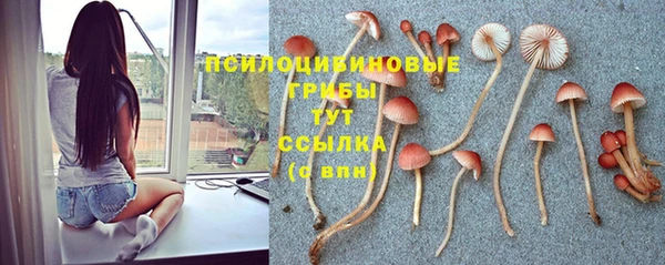 2c-b Алексеевка